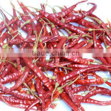 DRY RED CHILI FROM INDIA