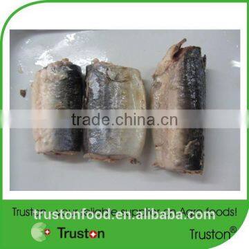 Canned Mackerel In brine water from Southern China