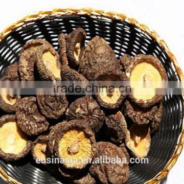 black dry shiitake mushroom