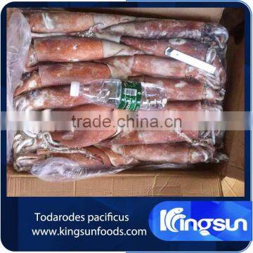 Frozen todarodes pacificus squid price whole round seafood exporter