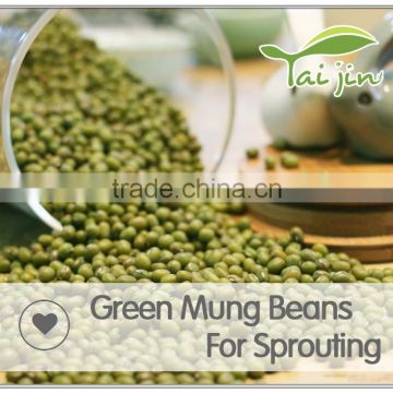 High Quality green mung bean sprout,grade a green mung bean price