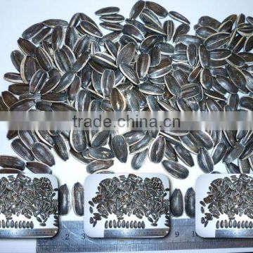 sunflower seeds,biggest factory/exporter