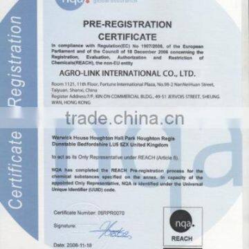 pre-registration certificate