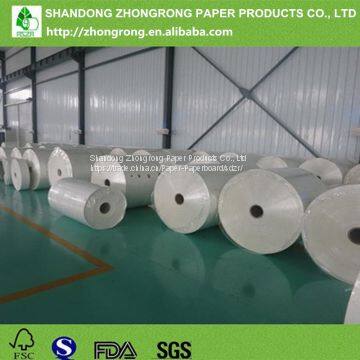 Supplier of PE Coated Paper photo-4