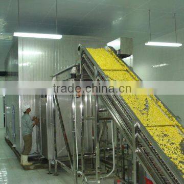 Iqf Tunnel Freezer Potato Chips Machine Blast Freezer photo-3