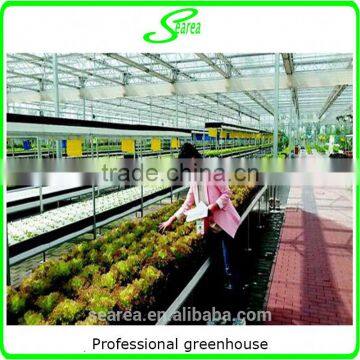 Professional Greenhouse Project Commercial Hydroponic Systems photo-3