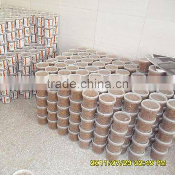 Microwave Dried Mealworm in Transparant Bag photo-3