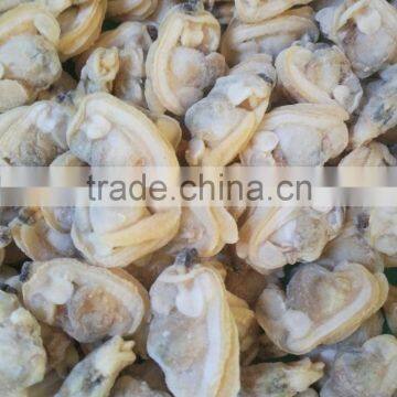 Liaoning local seafood products frozen yellow clam meat