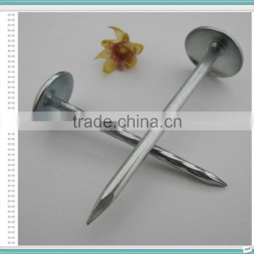 Umbrella Head Corrugated Galvanized Roofing Nails