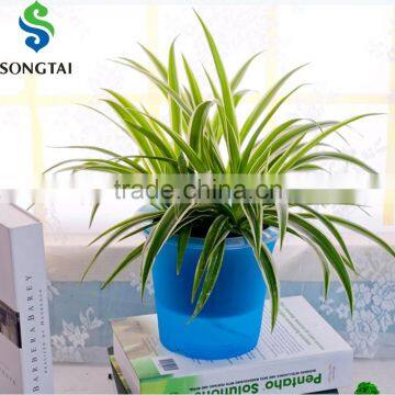 Decorative plastic self watering flower pot