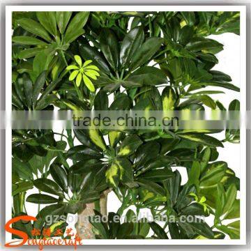Wholesale Green Artificial Money Tree Make Cheap Outdoor Large Money Tree photo-6