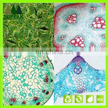 Educational Medical Microbiology Prepared Slides Botany Microscope Slides Microbiology Prepared Slides