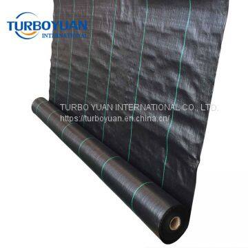 Thailand / India Coconut Weed Mat Ground Cover for Blueberry photo-3