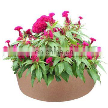 2019 hot selling FELT FLOWER POT GARDEN