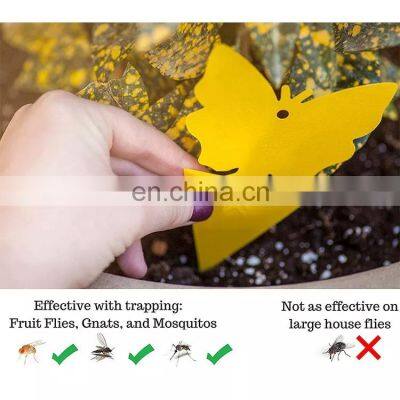 Sticky Fruit Fly And Gnat Trap Yellow Sticky Bug Traps For Indoor