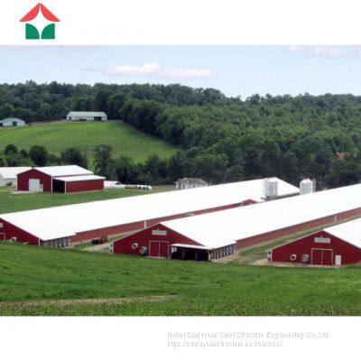China Prefabricated Automatic Chicken House for 50000 Layers Birds
