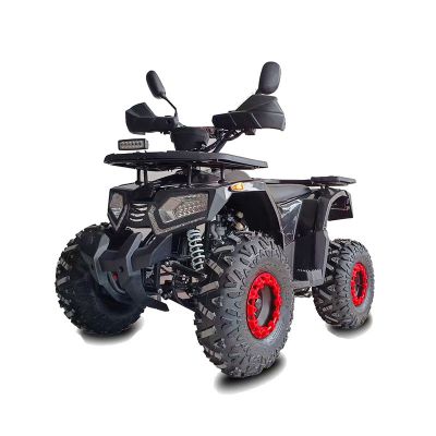 2024 new 4wheeler automatic 150CC 200CC off-road quad ATV motorcycle