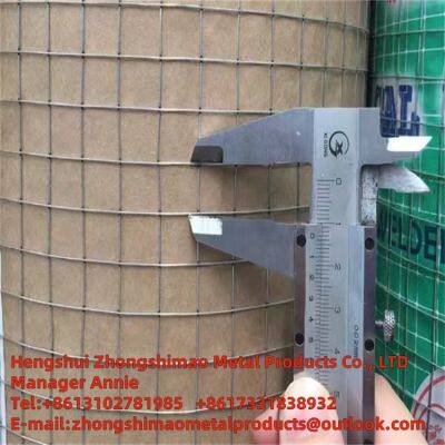 Welded wire mesh/galvanized wire mesh /wire netting/weld mesh roll/