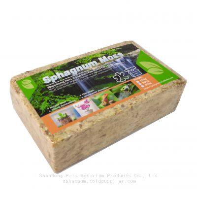 Oem Custom Dried Natural Preserved Dry Sphagnumn Moss Muschio Mos Musgo Mousse