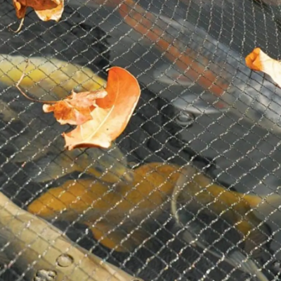 Fish Pond Net Fish Pond Cover Nets Koi Pond Net