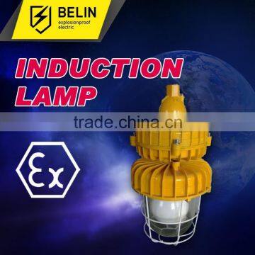 Explosion-proof lights (high frequency electrodeless lamp)