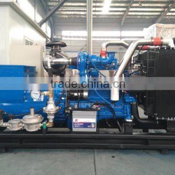 EAPP Brand Propane Generators LY6BG80KW