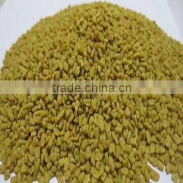 Fenugreek Seed Machine Cleaned