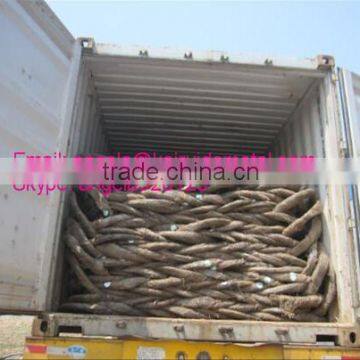 Galvanized Iron Wire With Competitive Price Low Price Electro Galvanized Iron Wire photo-4