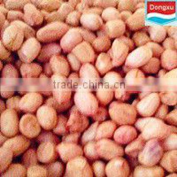 groundnut kernels peanuts