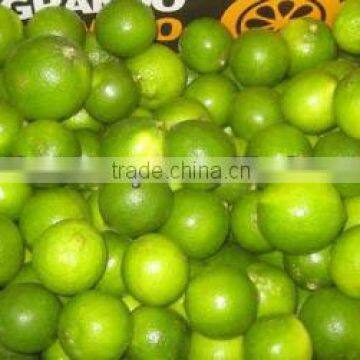 Fresh Lemon & Lime New Crop photo-3