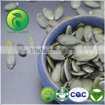 High Quality Pumpkin Seeds GWS (Grown Without Shell)