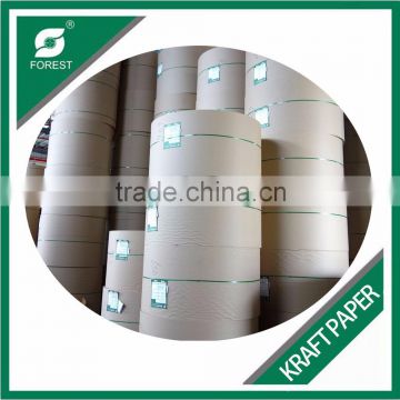 120gsm KRAFTLINER PAPER ROLL SUPPLIER