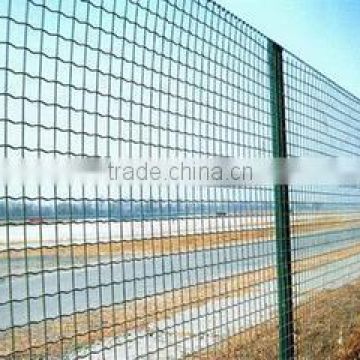 low-carbon stainless steel wire holland wire mesh fence/hebei tuosheng