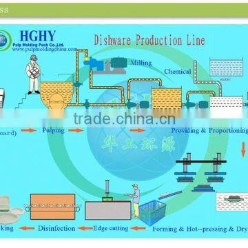 Disposable Baggase Paper Plate Pulp Molding Machine by HGHY