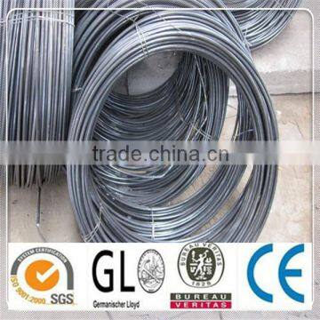 Prime Quality SAE1008B Hot Rolled Wire Rod