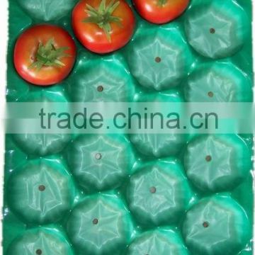 Onsite Check 7YR Alibaba Golden Supplier Plastic Tray In Food Grade For Fresh Fruit