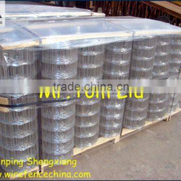 galvanised welded wire mesh 3/8" x 3/8"