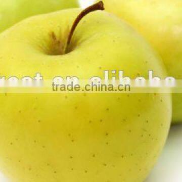 We are supply fresh Golden delicious with best prices for sale