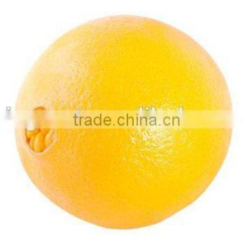 Hot sale fresh sweet Navel Orange with best price