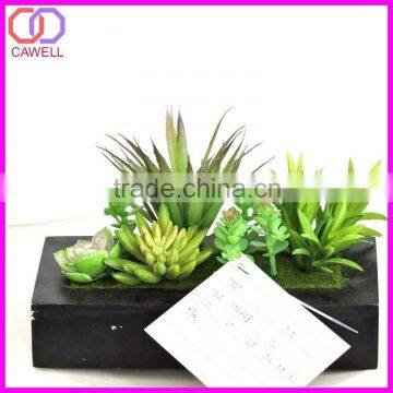 Mini Artificial Succulent for Sale photo-1