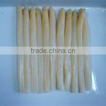 hot sale new crop canned fresh white asparagus