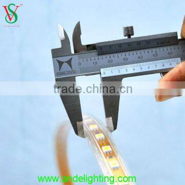 Zhongshan manufacturer SMD 5050 SMD 2835 flexible strip light rope light