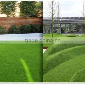 professional supplier artificial grass yarn