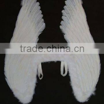 angel's wing