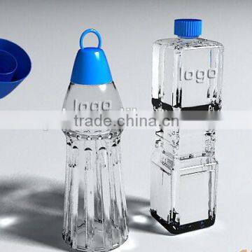 PET bottle mould ,blowing bottle mould,mineral water bottle mould