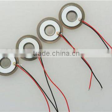 Different Sizes Piezo Ceramic Element Ultrasonic PZT Material Manufacturer photo-4