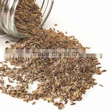 Dill Seeds