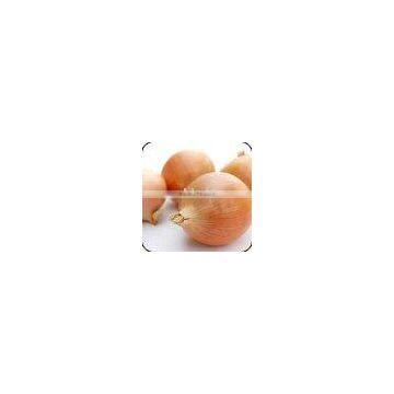 Onion