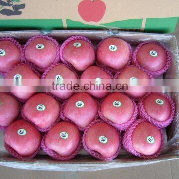 Fresh apple fruit wholesale distributors