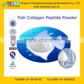 Hot Sale Fish Collagen